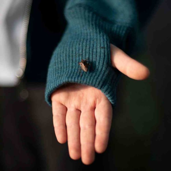 Manitober_blouson-zip-capuche-outdoor-enfant_laine-bio-ecologique