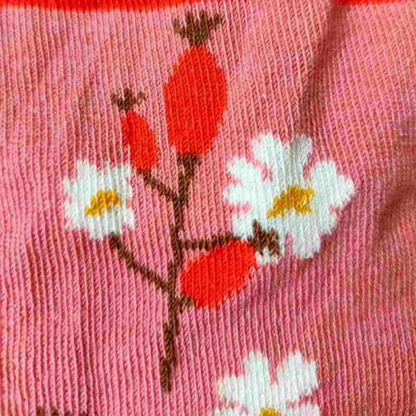 Chaussettes hautes "églantier" en coton bio – pointures 19 à 34 - Fräulein Prusselise – Image 2