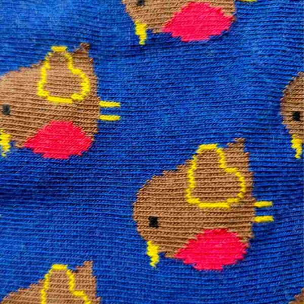 Chaussettes "rouge-gorge" en coton bio - pointures 19 à 42 - Fräulein Prusselise – Image 2