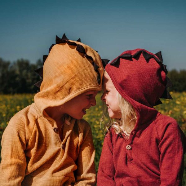 sweat dino hoodie avec capuche en laine mérinos manymonths pour enfant