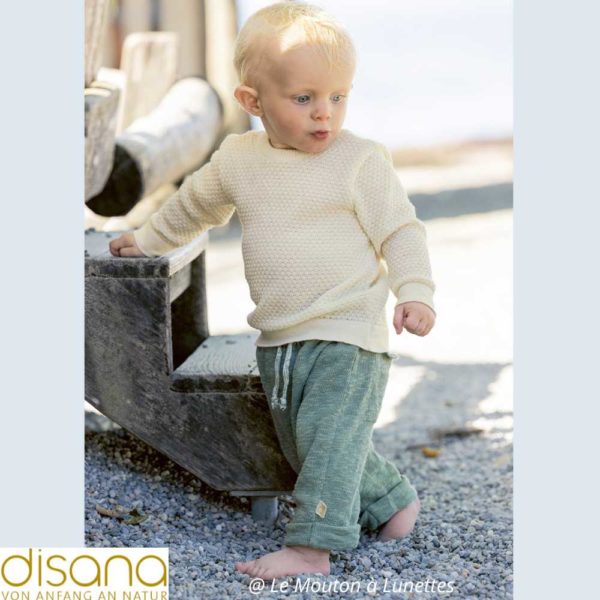 Pullover léger laine mérinos bio maille fantaisie - DISANA – Image 4